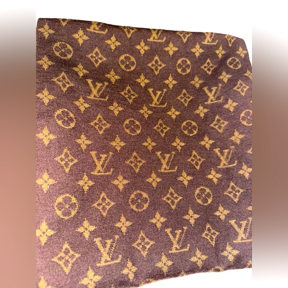 246 Louis Vuitton LV Monogram Cashmere-Silk Blend Winter Scarf with Box - Picture 3 of 5